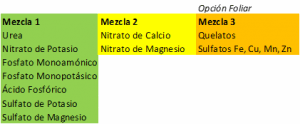 calcio en la frutilla/fresa