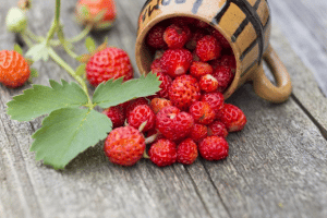 origen de la frutilla/fresa
