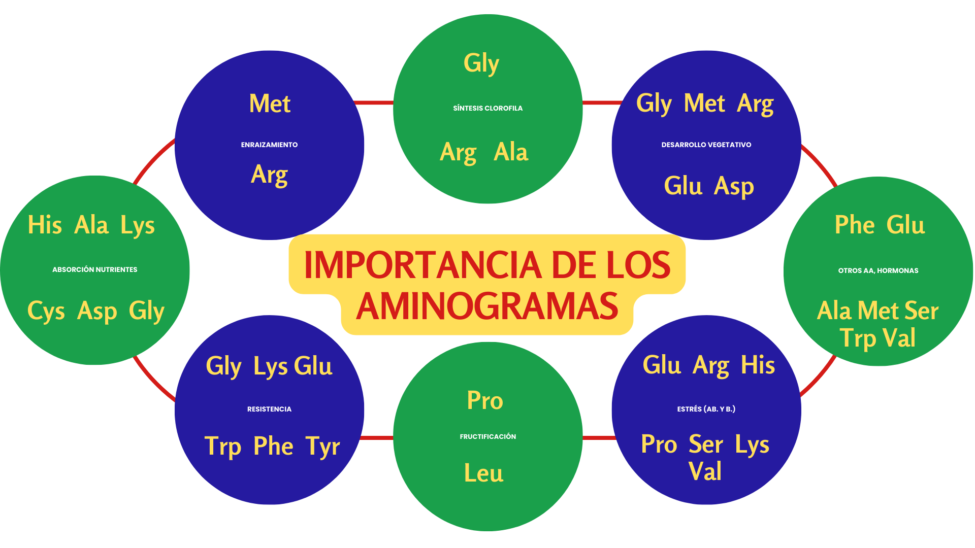 aminoácidos