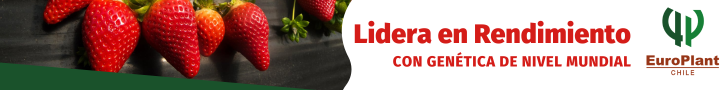 banner 1 europlant reserva