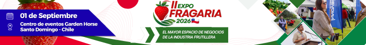 banner EF2026 1