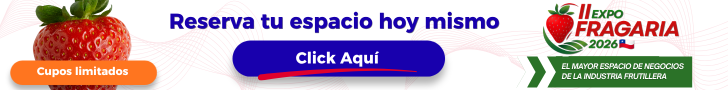 banner EF2026 2 (2)