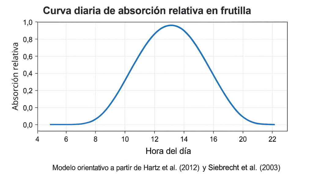 fertirrigación en frutilla