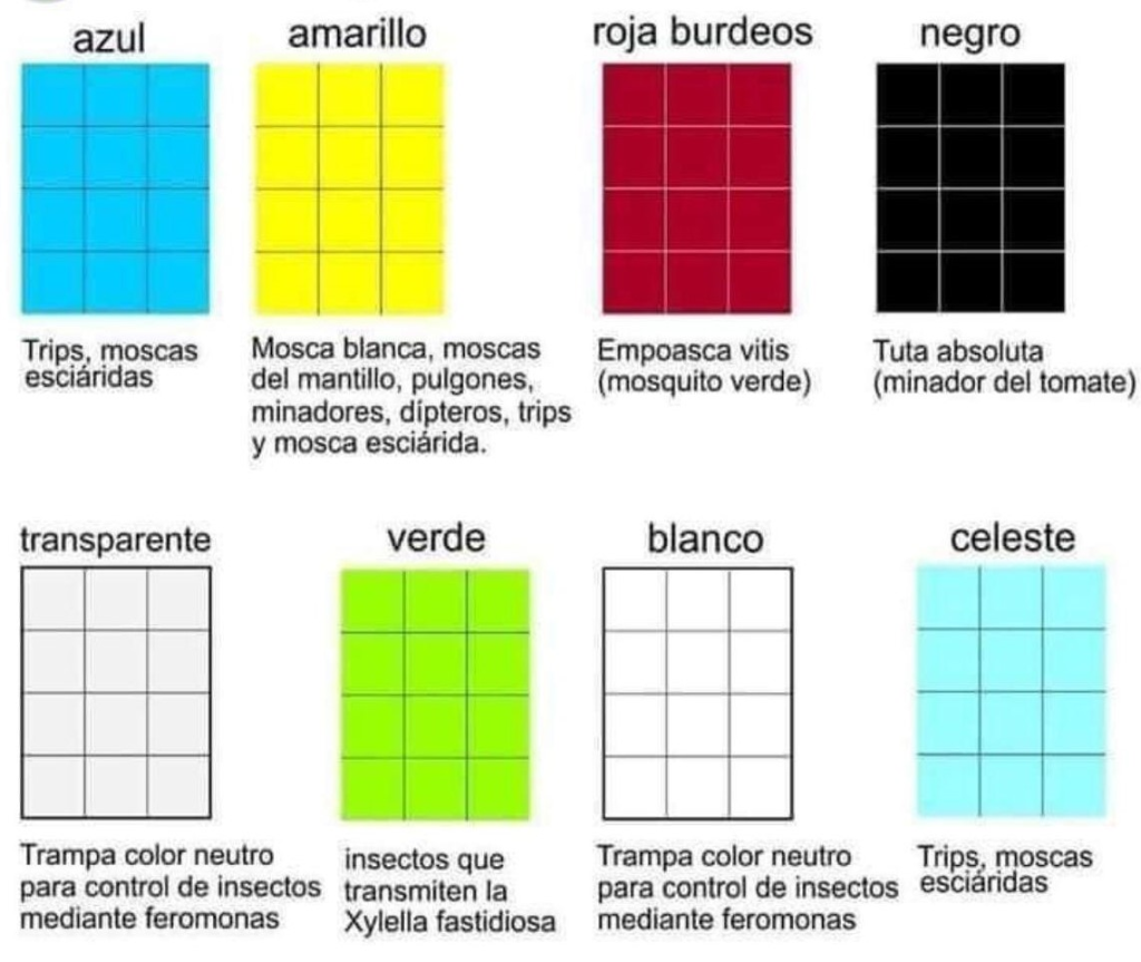 trips