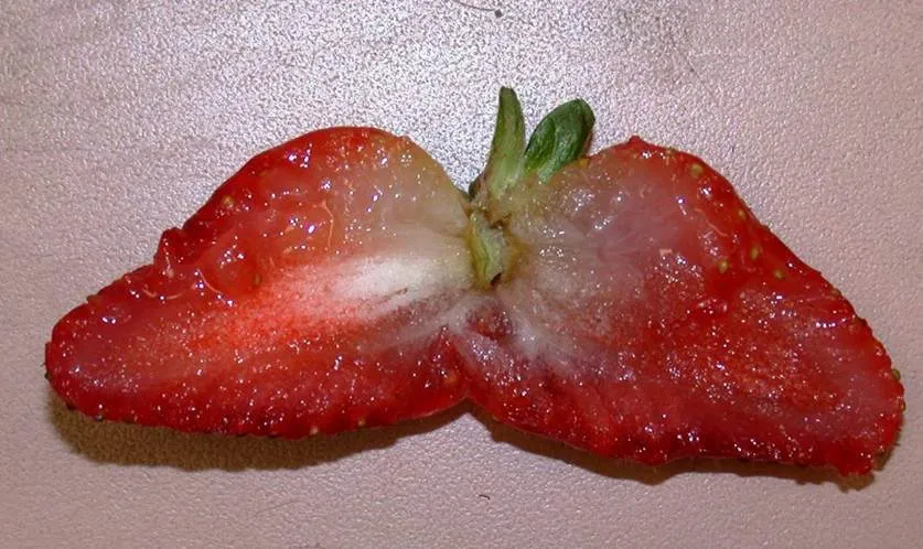 heladas