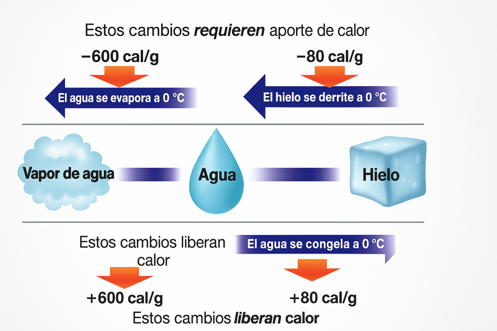 heladas
