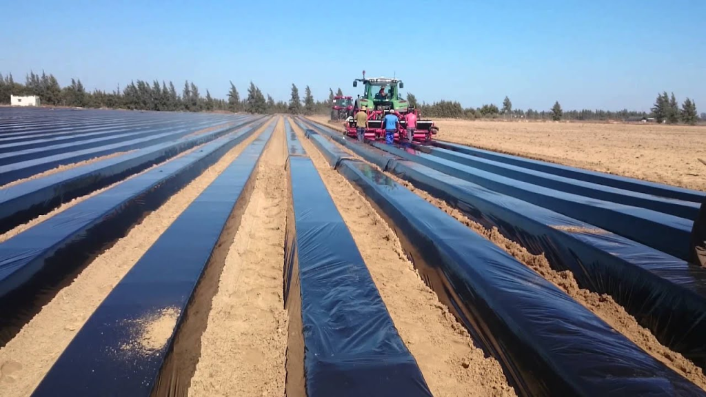 Maquinaria Para Cultivo De Frutillas