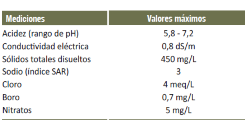 cultivo de frutilla
