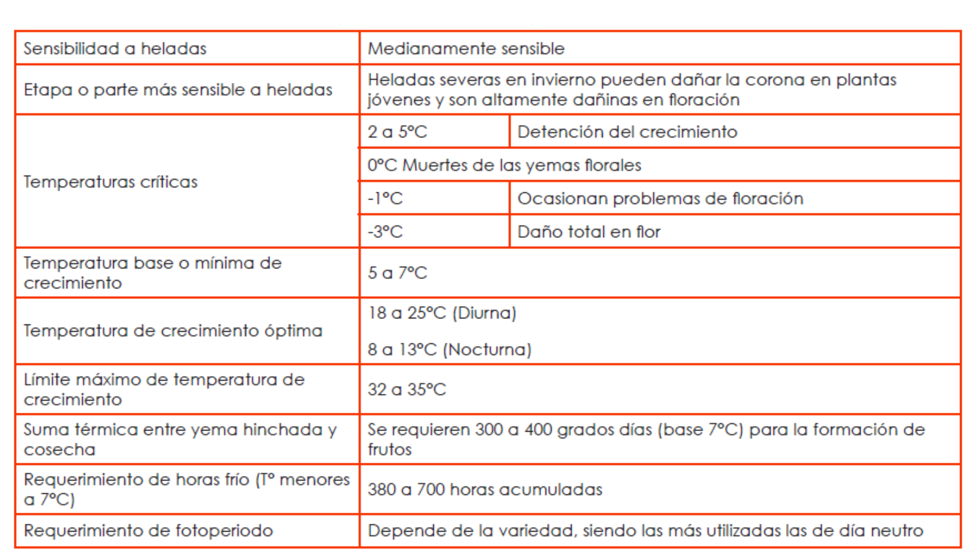 cultivo de frutilla
